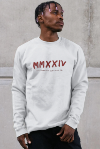 Mens White Sweatshirt