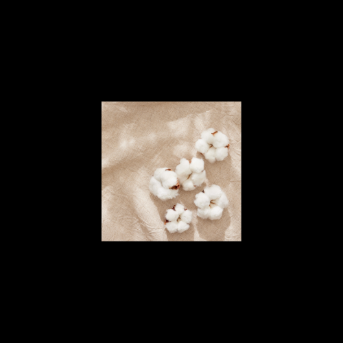 Our Organic Cotton