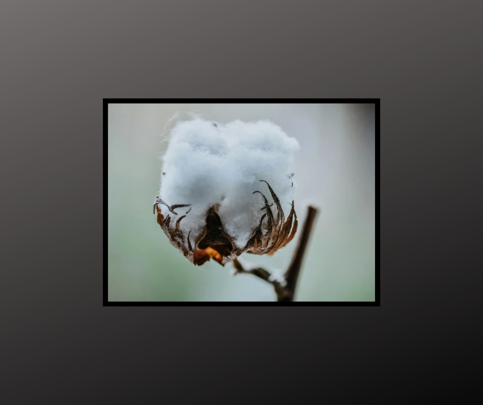 Organic cotton for sensitive skin