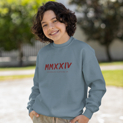 Boys Blue Sweatshirt
