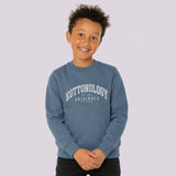 Boys' Blue Organic Cotton Sweatshirt