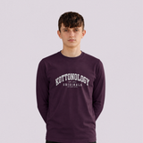 Boys' Purple Organic Cotton Long Sleeve T-Shirt